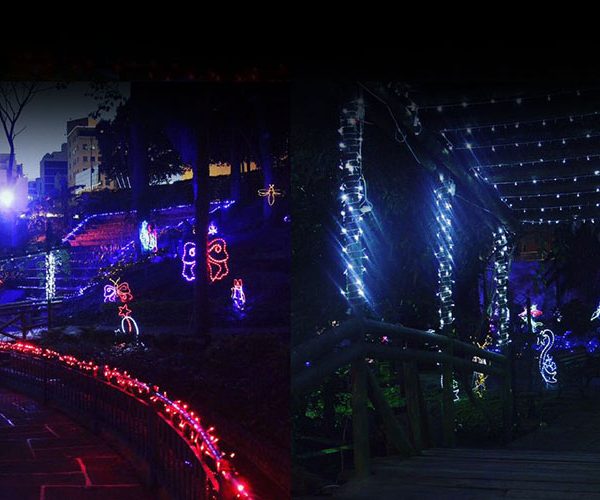 2016 12 16 Navidad arena 600x500